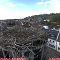 16_35-nest.jpg