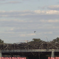 16_40-mast.jpg