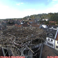 16_40-nest.jpg