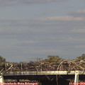 16_45-mast.jpg