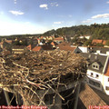 16_45-nest.jpg