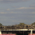16_50-mast.jpg