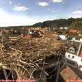 16_50-nest.jpg