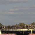 16_55-mast.jpg