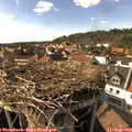 16_55-nest.jpg