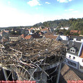 17_00-nest.jpg