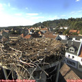 17_05-nest.jpg