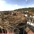17_10-nest.jpg