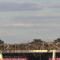 17_15-mast.jpg