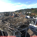 17_40-nest.jpg