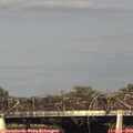 17_50-mast.jpg