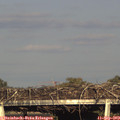 18_10-mast.jpg