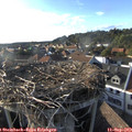 18_10-nest.jpg