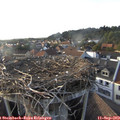 18_15-nest.jpg