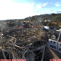 18_20-nest.jpg