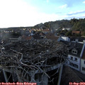 18_30-nest.jpg