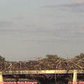 18_35-mast.jpg