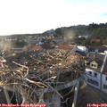 18_35-nest.jpg