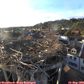 18_40-nest.jpg