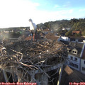 18_45-nest.jpg