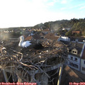 18_55-nest.jpg