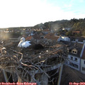 19_10-nest.jpg