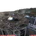 19_25-nest.jpg