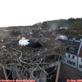 19_30-nest.jpg