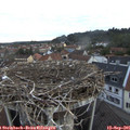 07_05-nest.jpg