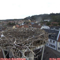 07_10-nest.jpg
