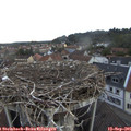 07_15-nest.jpg