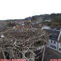 07_25-nest.jpg