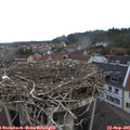 07_35-nest.jpg