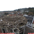 07_50-nest.jpg