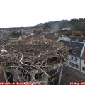 08_00-nest.jpg