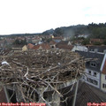 08_10-nest.jpg