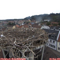 08_20-nest.jpg