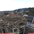 08_25-nest.jpg