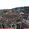 08_30-nest.jpg