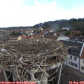 08_35-nest.jpg