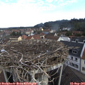 08_40-nest.jpg