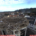 08_45-nest.jpg