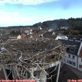 08_50-nest.jpg