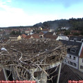 08_55-nest.jpg