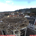 09_00-nest.jpg