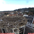 09_05-nest.jpg