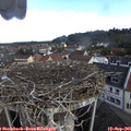 09_10-nest.jpg