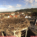 09_20-nest.jpg