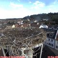 09_25-nest.jpg