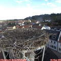 09_30-nest.jpg